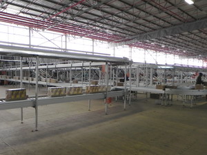 Zero Pressure Accumulations Conveyors with MDR